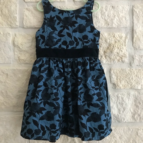 Carter's Other - Carters Blue Velvet Floral Holiday Dress 6